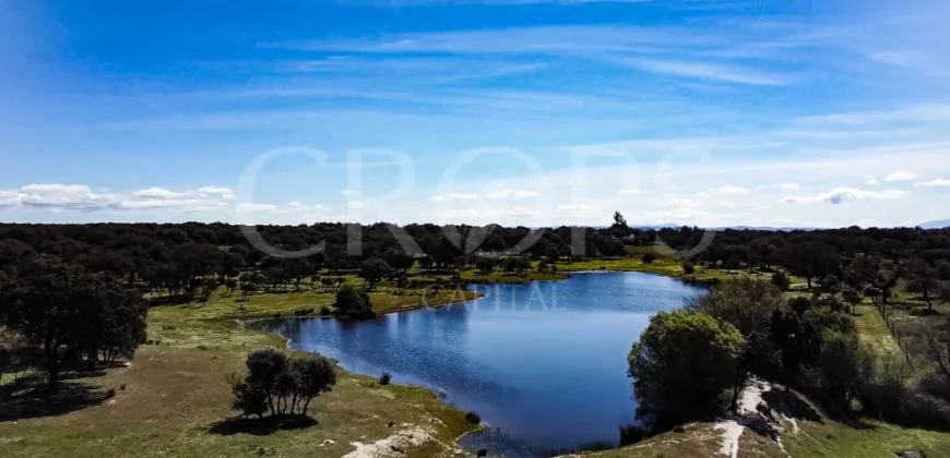 Finca con casa en venta en la Sierra de Gredos