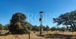 Finca con casa en venta en la Sierra de Gredos