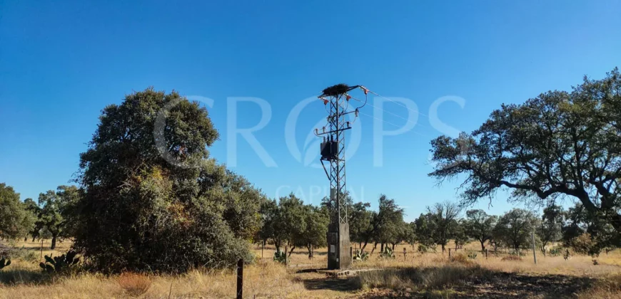 Finca con casa en venta en la Sierra de Gredos