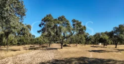 Finca con casa en venta en la Sierra de Gredos