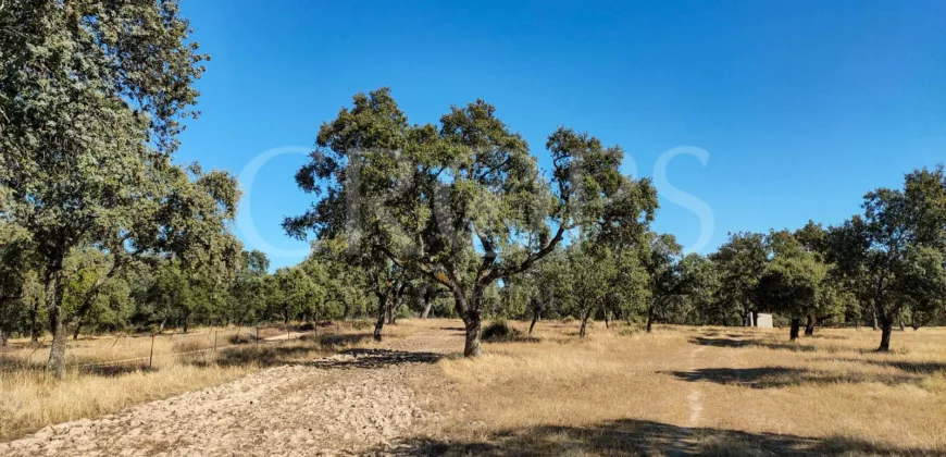 Finca con casa en venta en la Sierra de Gredos