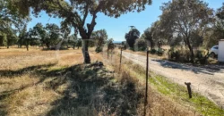 Finca con casa en venta en la Sierra de Gredos