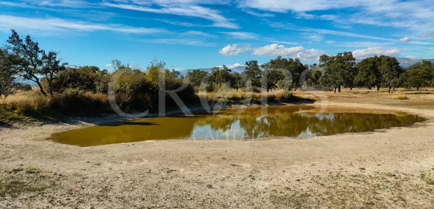 Finca con casa en venta en la Sierra de Gredos