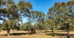 Finca con casa en venta en la Sierra de Gredos