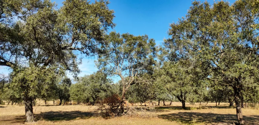 Finca con casa en venta en la Sierra de Gredos