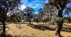 Finca con casa en venta en la Sierra de Gredos