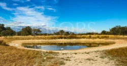 Finca con casa en venta en la Sierra de Gredos