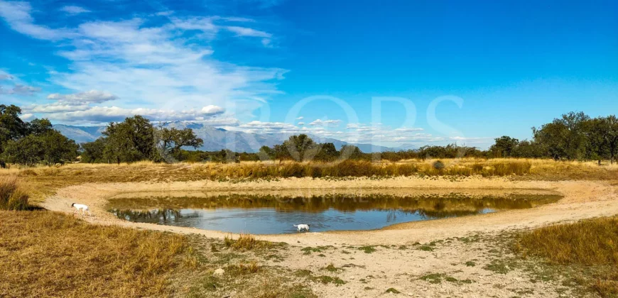 Finca con casa en venta en la Sierra de Gredos