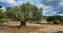 En venta finca de recreo en Madrid