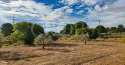 En venta finca de recreo en Madrid