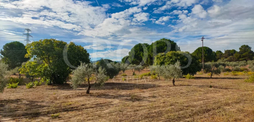 En venta finca de recreo en Madrid