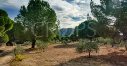 En venta finca de recreo en Madrid