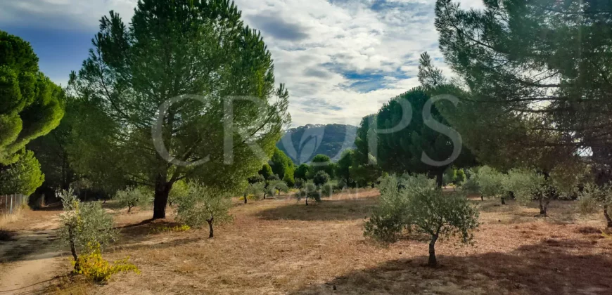 En venta finca de recreo en Madrid