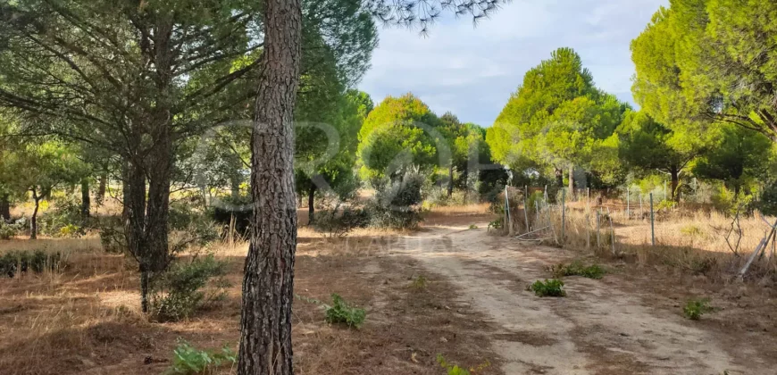 En venta finca de recreo en Madrid