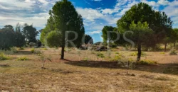 En venta finca de recreo en Madrid