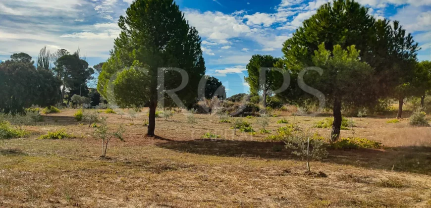 En venta finca de recreo en Madrid