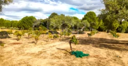 En venta finca de recreo en Madrid