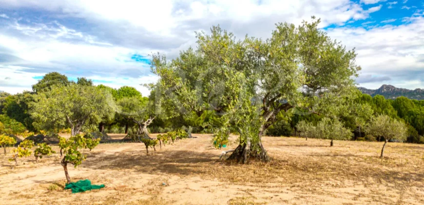 En venta finca de recreo en Madrid