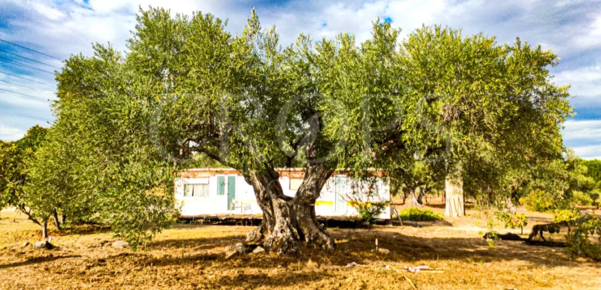 En venta finca de recreo en Madrid