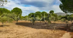 En venta finca de recreo en Madrid