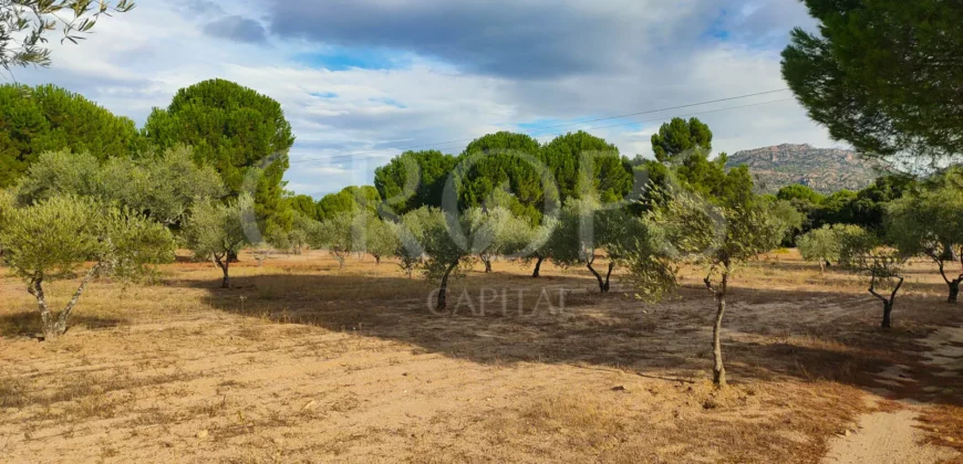 En venta finca de recreo en Madrid