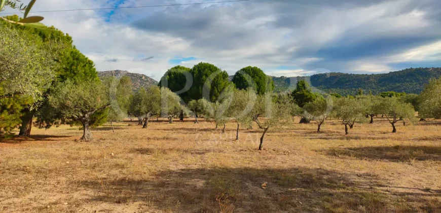 En venta finca de recreo en Madrid