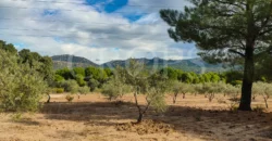 En venta finca de recreo en Madrid