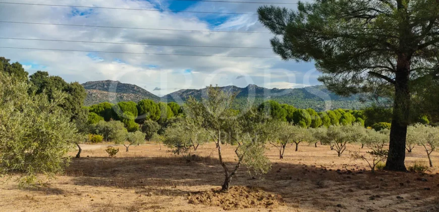 En venta finca de recreo en Madrid