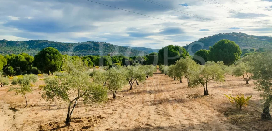 En venta finca de recreo en Madrid