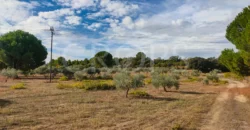 En venta finca de recreo en Madrid