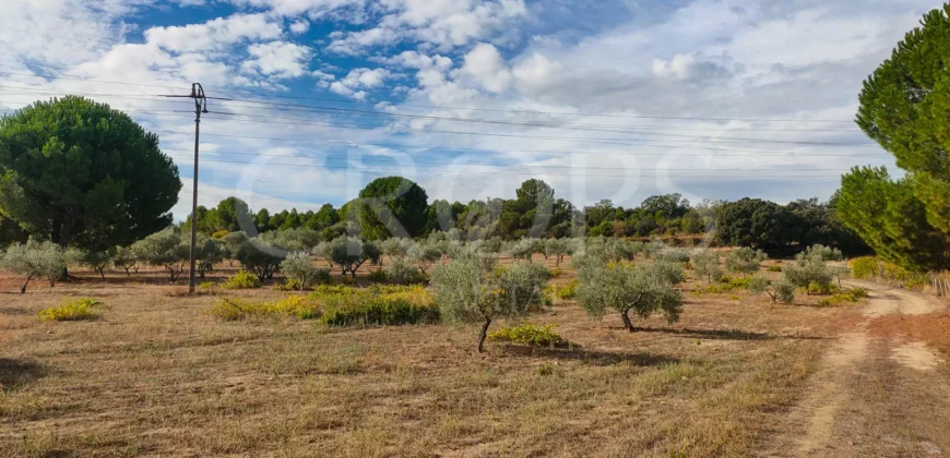 En venta finca de recreo en Madrid