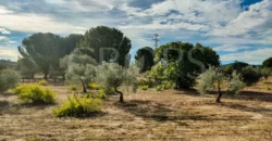 En venta finca de recreo en Madrid