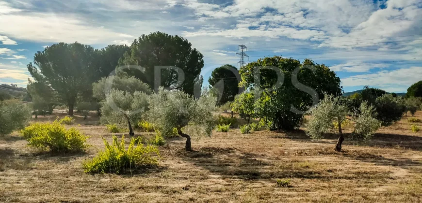 En venta finca de recreo en Madrid