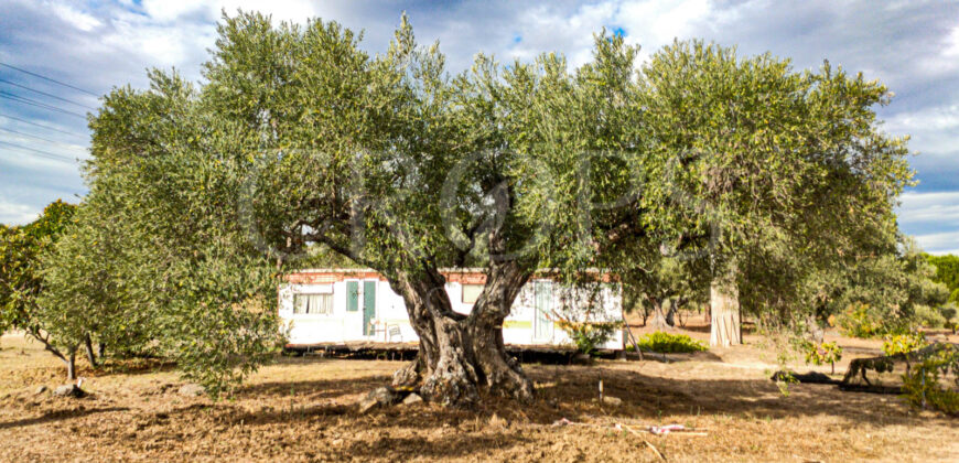 En venta finca de recreo en Madrid