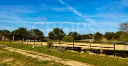 En venta finca ecuestre en Madrid