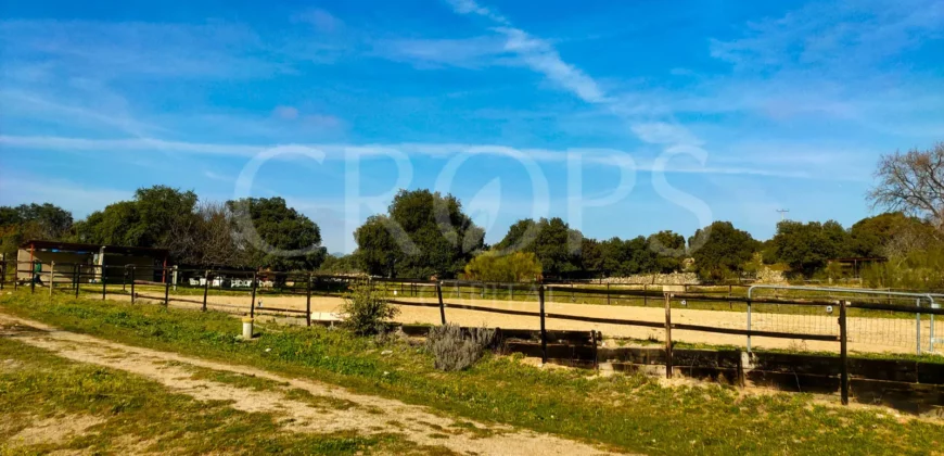 En venta finca ecuestre en Madrid