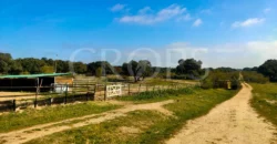 En venta finca ecuestre en Madrid