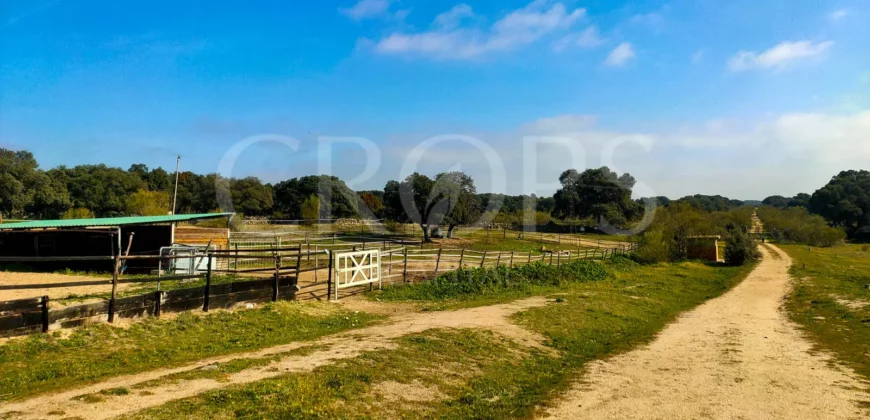 En venta finca ecuestre en Madrid