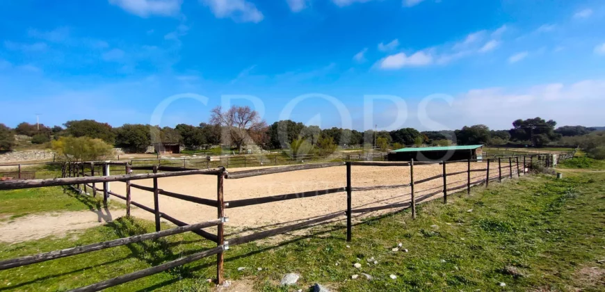 En venta finca ecuestre en Madrid