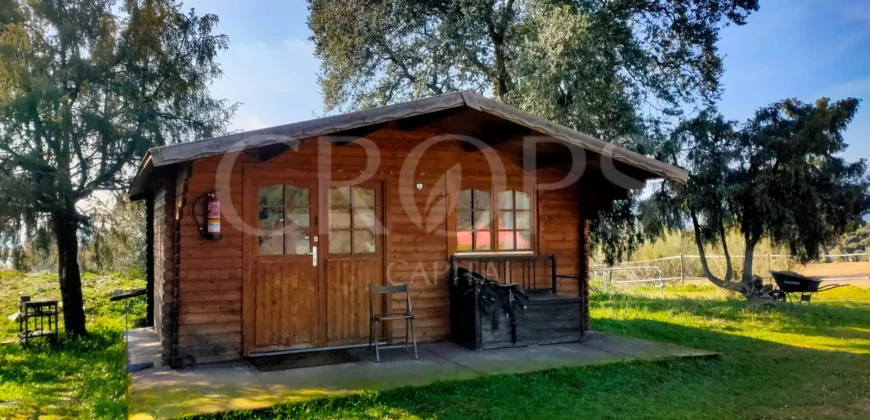 En venta finca ecuestre en Madrid