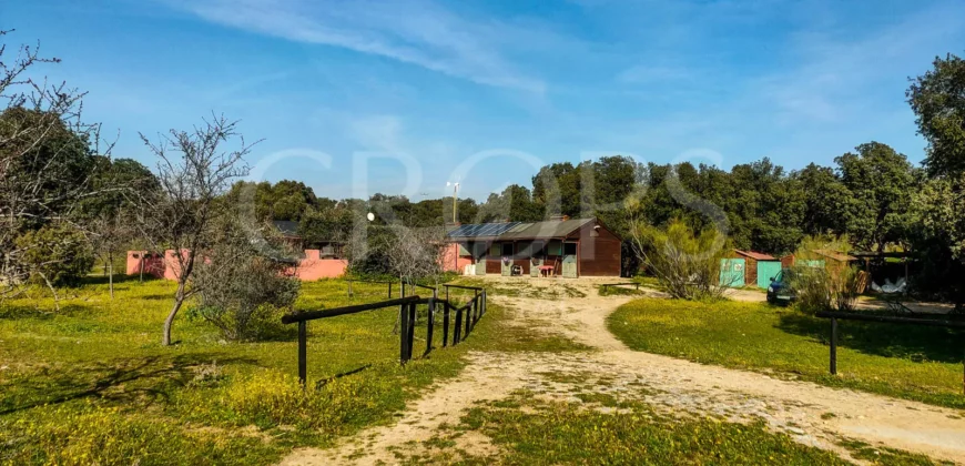 En venta finca ecuestre en Madrid