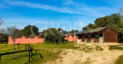 En venta finca ecuestre en Madrid