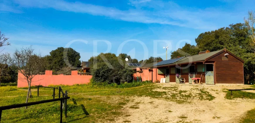 En venta finca ecuestre en Madrid