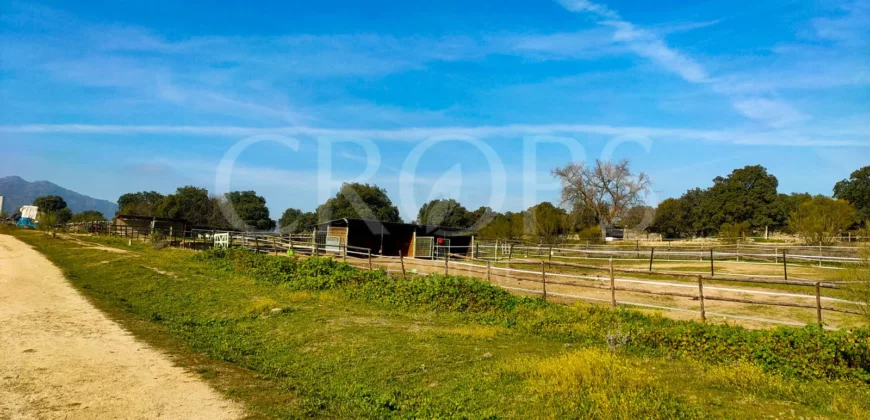 En venta finca ecuestre en Madrid