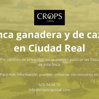 en venta finca ganadera y cinegética en Ciudad Real