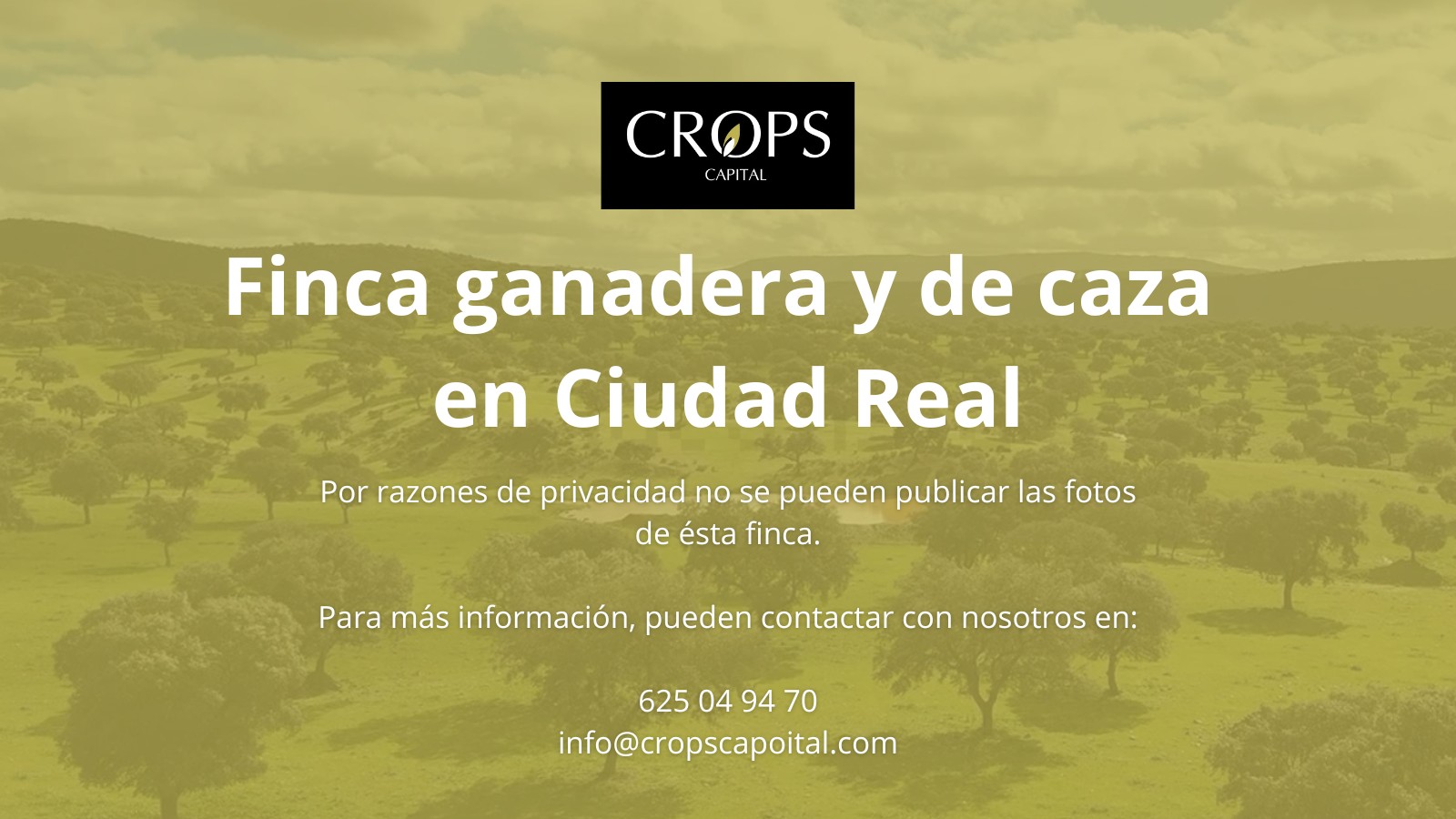 En venta finca ganadera con coto de caza en Ciudad Real