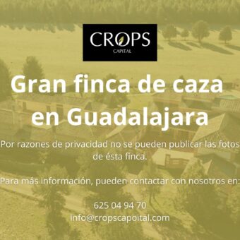 en venta finca de caza en Guadalajara