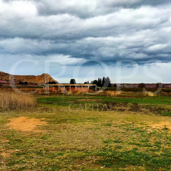 Fincas Ganaderas en Aragón: Un Sector en Pleno Crecimiento