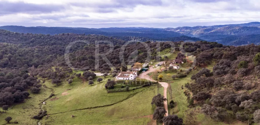 En venta, finca de turismo rural y ganadera en Sierra Morena de Córdoba