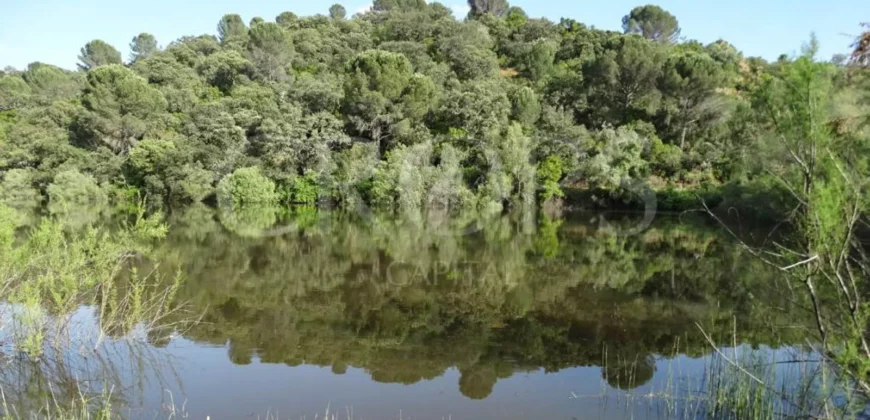 En venta, finca de turismo rural y ganadera en Sierra Morena de Córdoba